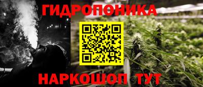 крисы Аргун