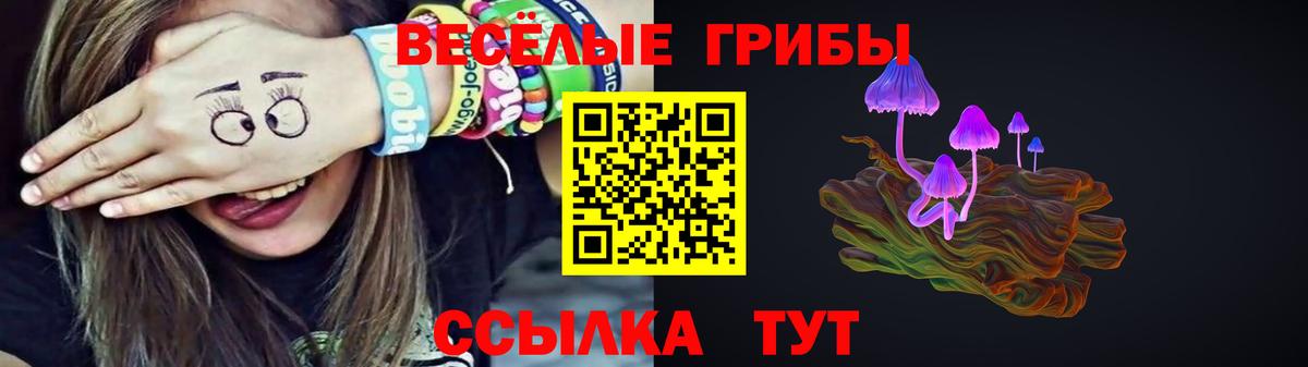 где можно купить наркотик  Галлюциногенные грибы Psilocybine cubensis  Вход с VPN  Балаково 