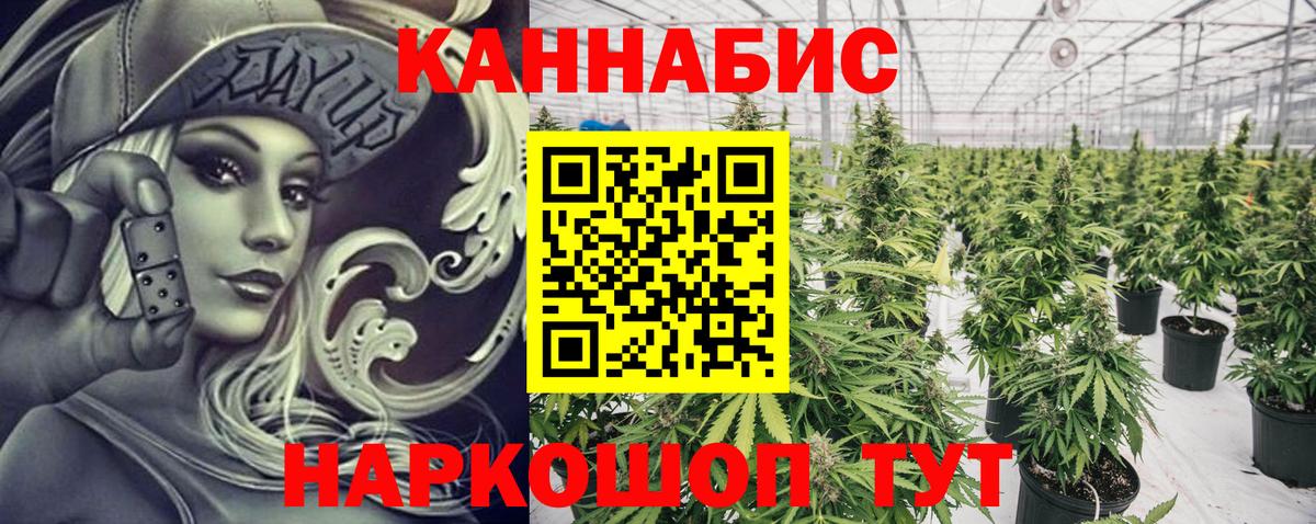 Шишки марихуана гибрид  Бошки марихуана ГИДРОПОН  Вход с VPN  Канабис Bruce Banner  Балаково 